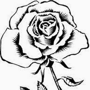 Meet your Posher, Rita